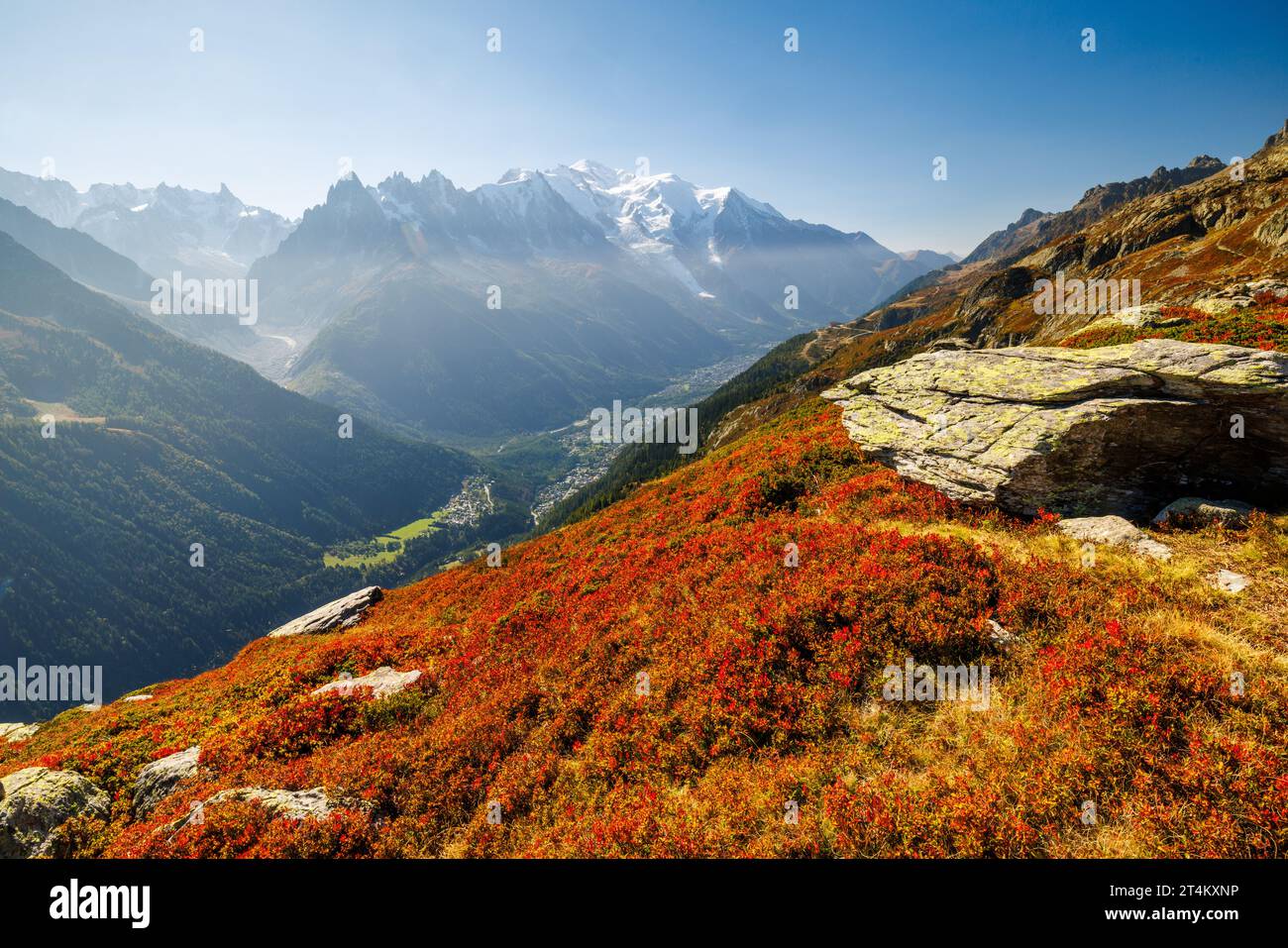 Colori autunnali a Chamonix con Aiguille du Midi e Mont Blanc in Francia Foto Stock