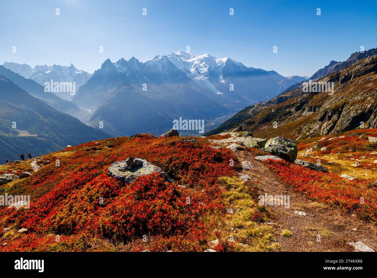 Colori autunnali a Chamonix con Aiguille du Midi e Mont Blanc in Francia Foto Stock