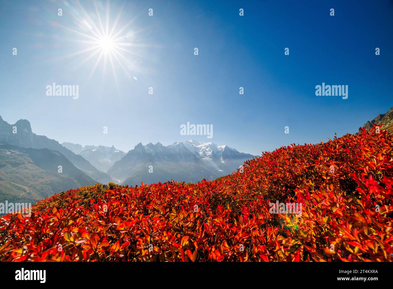 Colori autunnali a Chamonix con Aiguille du Midi e Mont Blanc in Francia Foto Stock