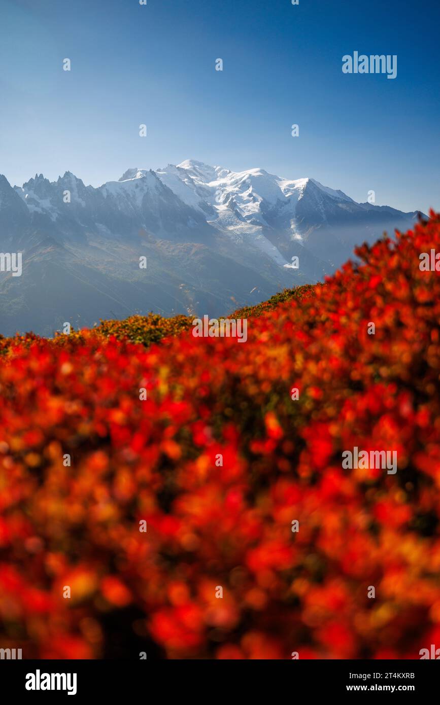 Colori autunnali a Chamonix con Aiguille du Midi e Mont Blanc in Francia Foto Stock