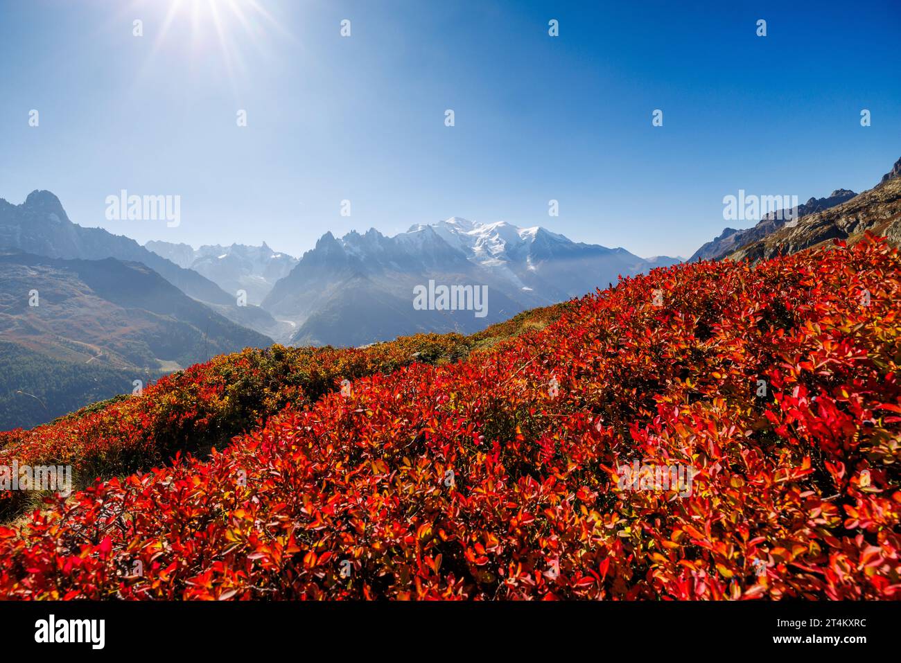 Colori autunnali a Chamonix con Aiguille du Midi e Mont Blanc in Francia Foto Stock