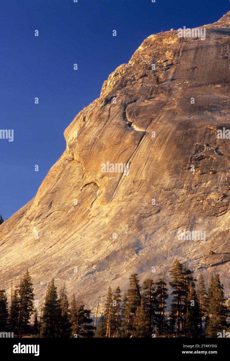 Dome Lembert, del Parco Nazionale Yosemite in California Foto Stock