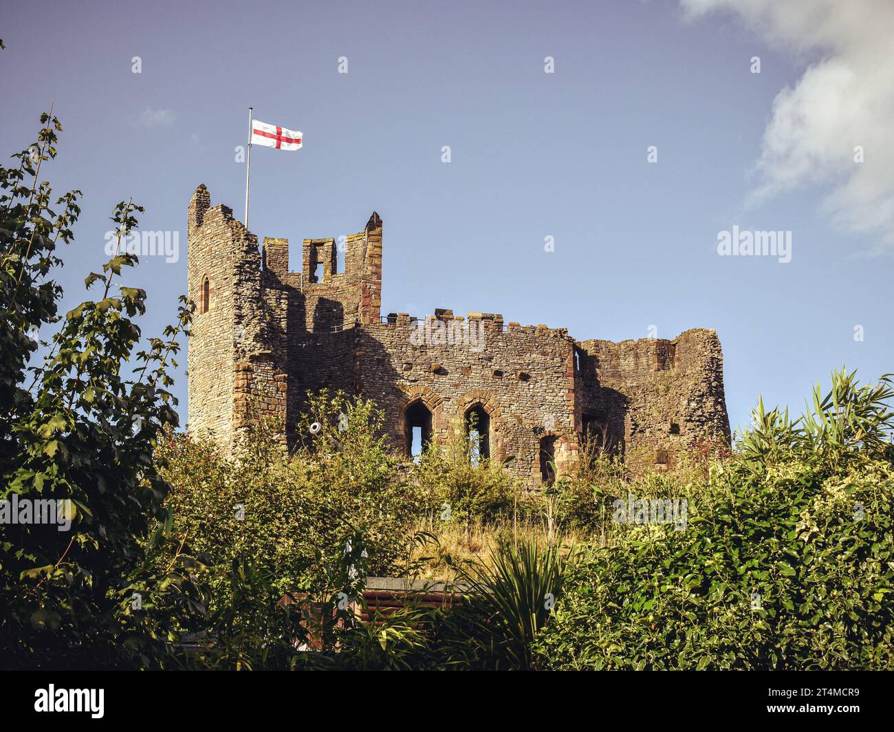 Dudley Castle in estate Foto Stock