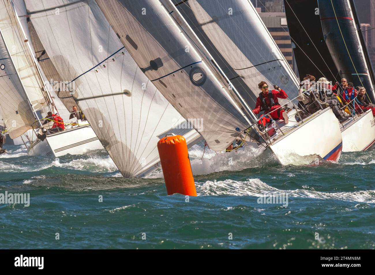 Spettacolari corse di yacht, porto di Wellington, nuova Zelanda Foto Stock