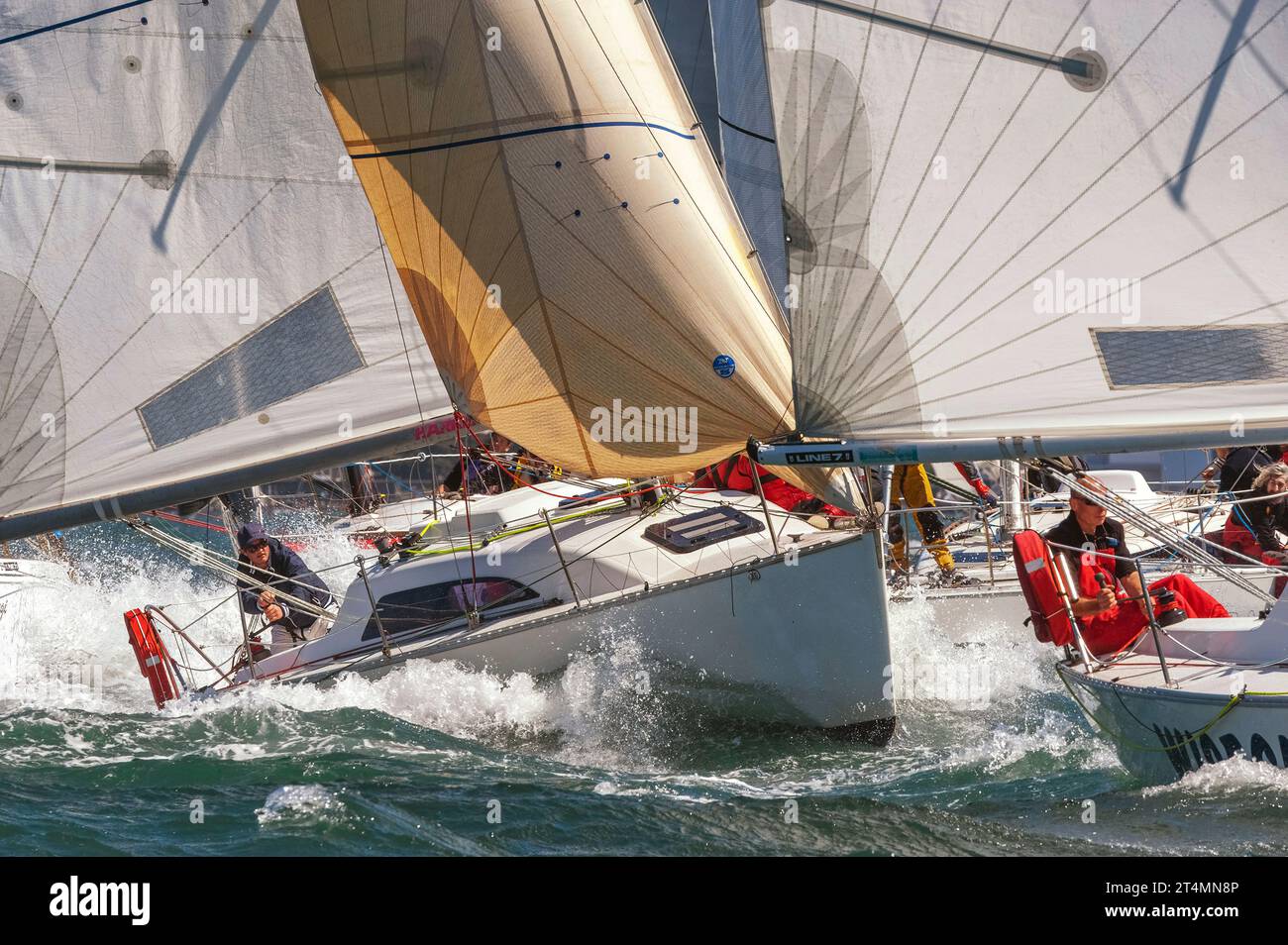 Spettacolari corse di yacht, porto di Wellington, nuova Zelanda Foto Stock