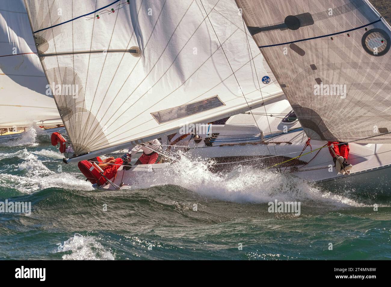 Spettacolari corse di yacht, porto di Wellington, nuova Zelanda Foto Stock