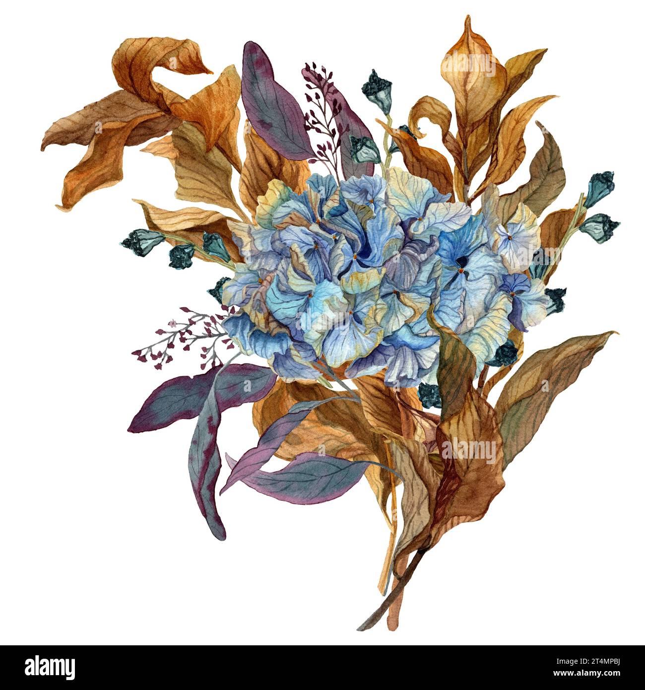Illustrazione ad acquerello disegnata a mano di bouquet essiccato con ortensia, eucalipto e rusco isolato su sfondo bianco. Design per inviti e decorazioni Foto Stock