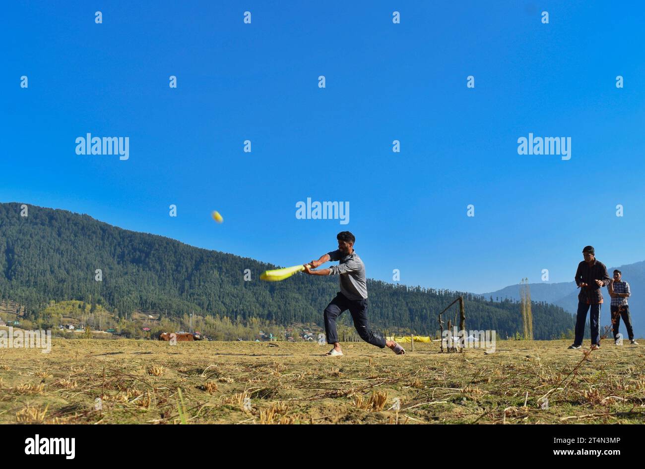 Srinagar, India. 26 ottobre 2023. La gente ama giocare a cricket sulla distesa dorata dei campi di riso raccolti nel distretto di Kupwara nel Kashmir settentrionale, in India, il 27 ottobre 2023. (Foto di Arsalan Ashiq/INA Photo Agency/Sipa USA) credito: SIPA USA/Alamy Live News Foto Stock
