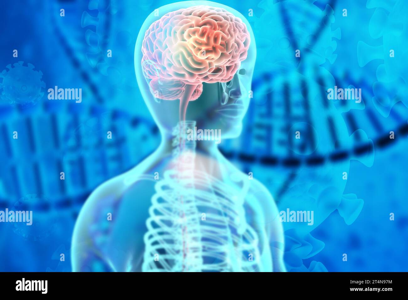 Anatomia del cervello umano su sfondo dna. Concetto di studio di genetica. illustrazione 3d. Foto Stock
