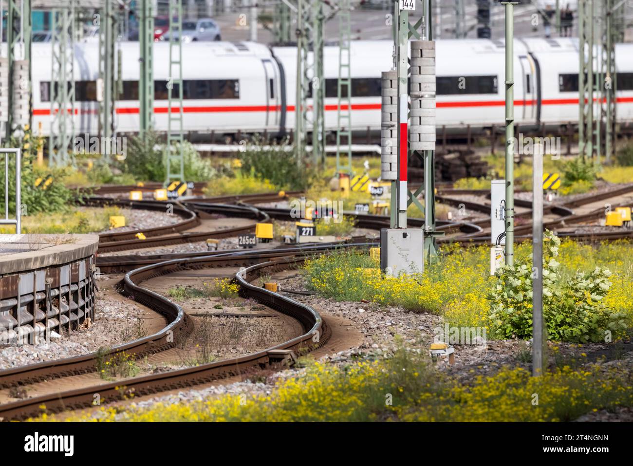 Grembiule con rotaie e interruttori, stazione principale con ICE della Deutsche Bahn AG, Stoccarda, Baden-Wuerttemberg, Germania Foto Stock