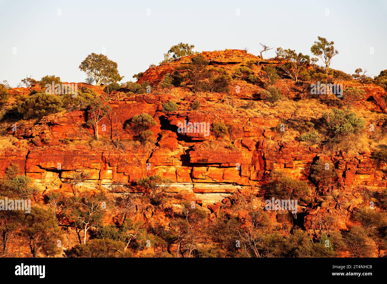 Rocce rosse scintillanti nel Parco Nazionale di Watarrka. Foto Stock