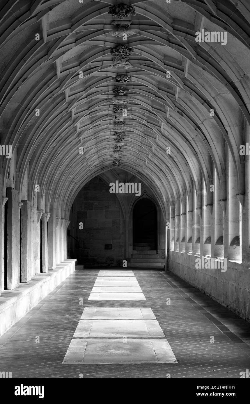 Fotografia interna, chiostro, monastero e palazzo di Bebenhausen, Baden-Wuerttemberg, Germania Foto Stock