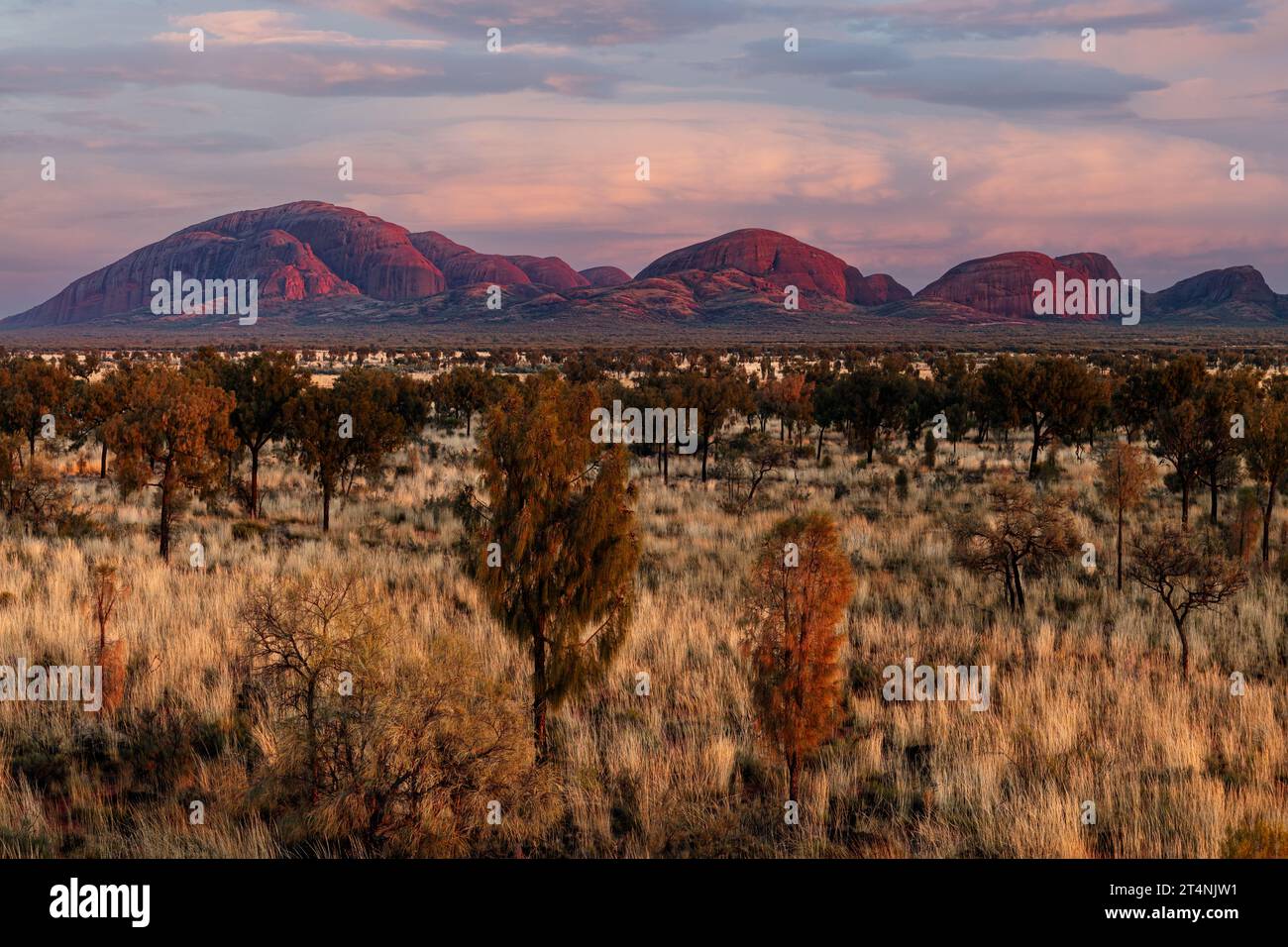 Prima luce sulle incredibili cupole di Kata Tjuṯa nell'Australia centrale. Foto Stock