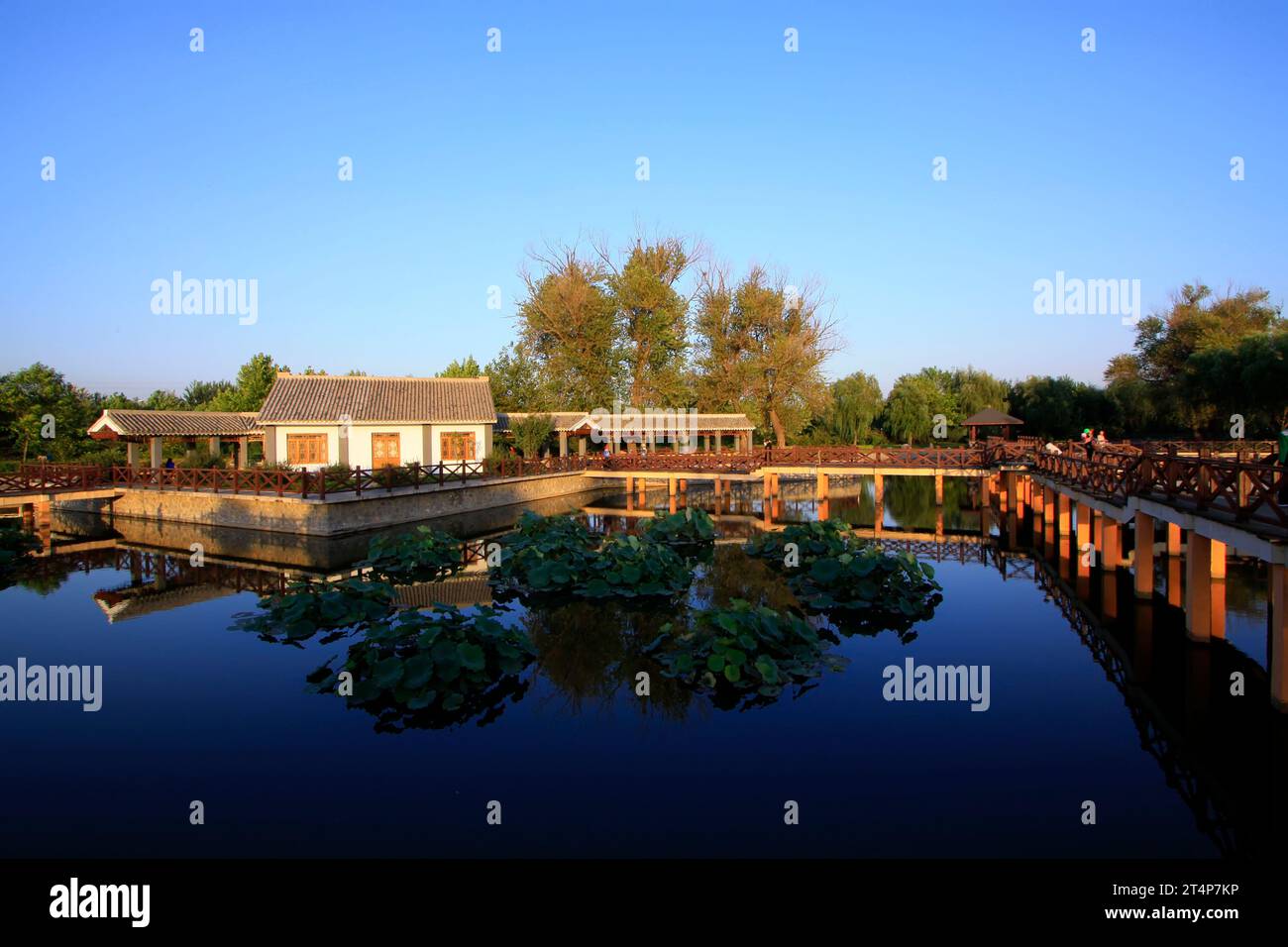 Architettura cinese classica giardino Foto Stock