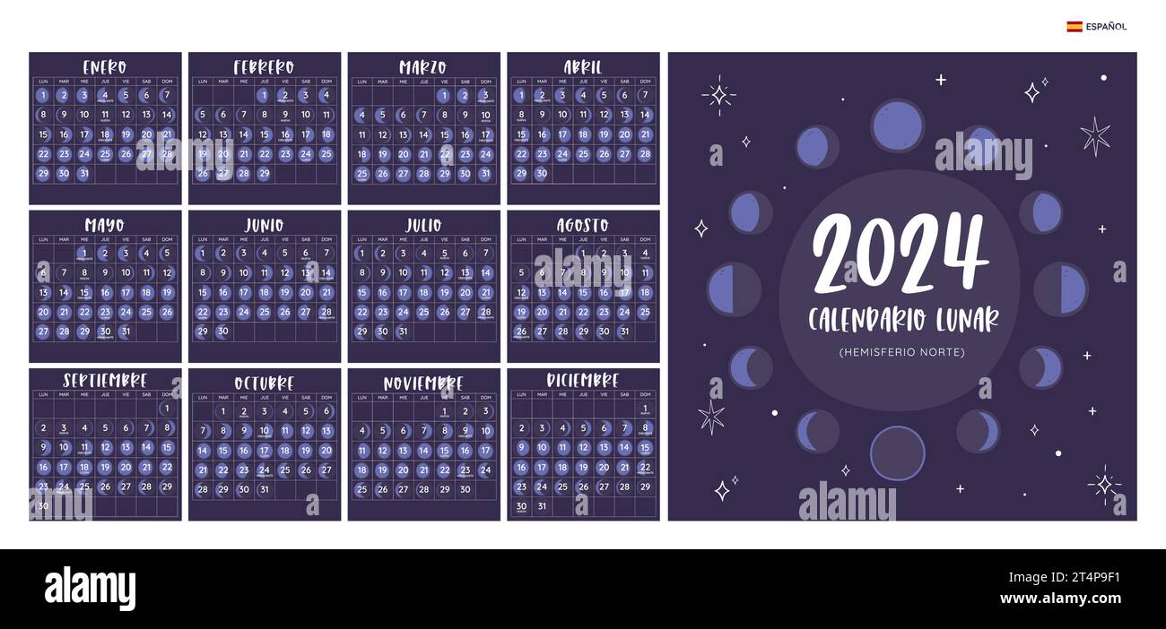 Calendario 2024. Fasi lunari previste dall'emisfero settentrionale. Testo spagnolo. Formato quadrato. Un mese per foglio. La settimana inizia lunedì. Vettoriale EPS. No, no Illustrazione Vettoriale