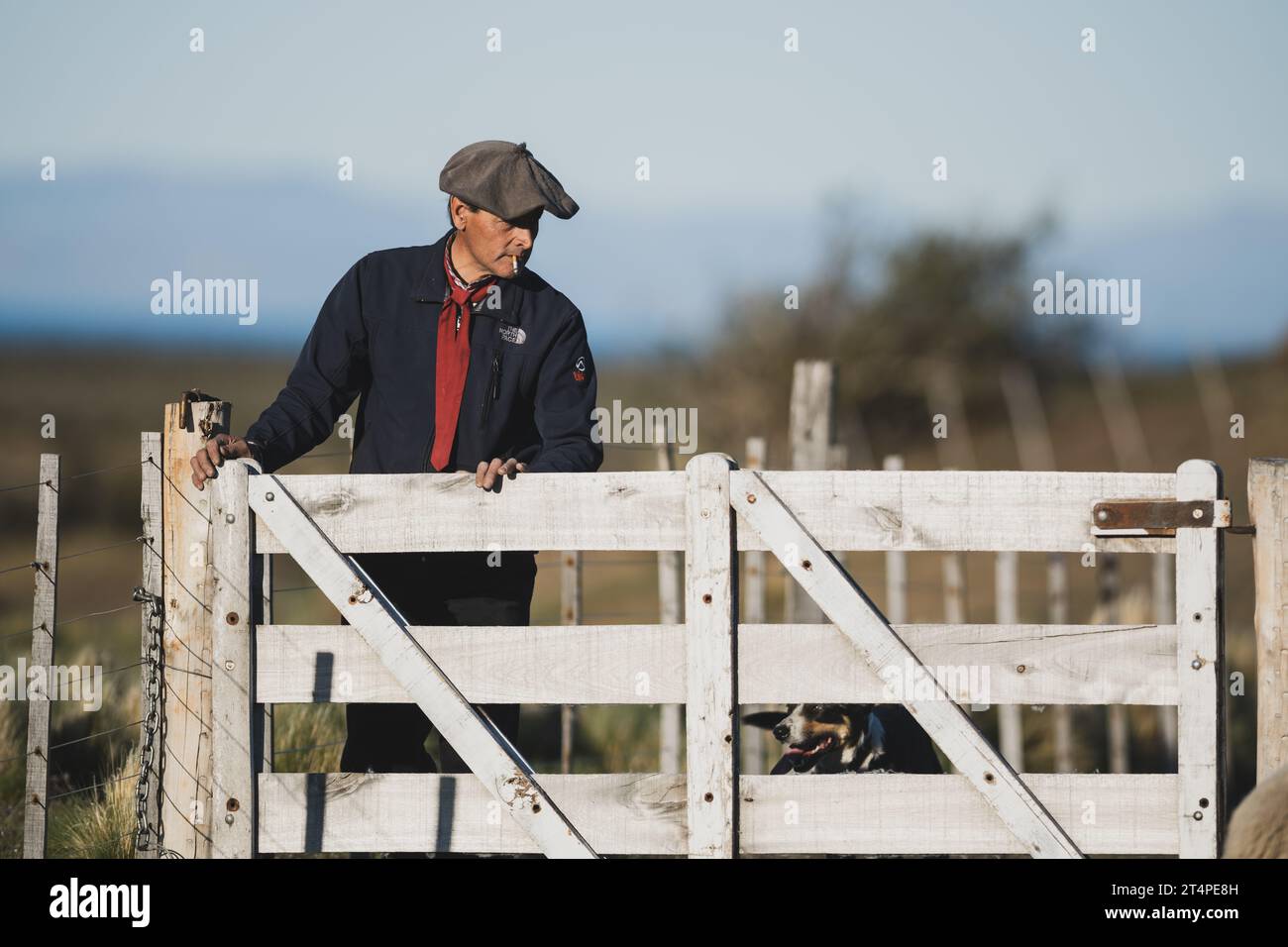 Un Gaucho in un ranch in Argentina Foto Stock