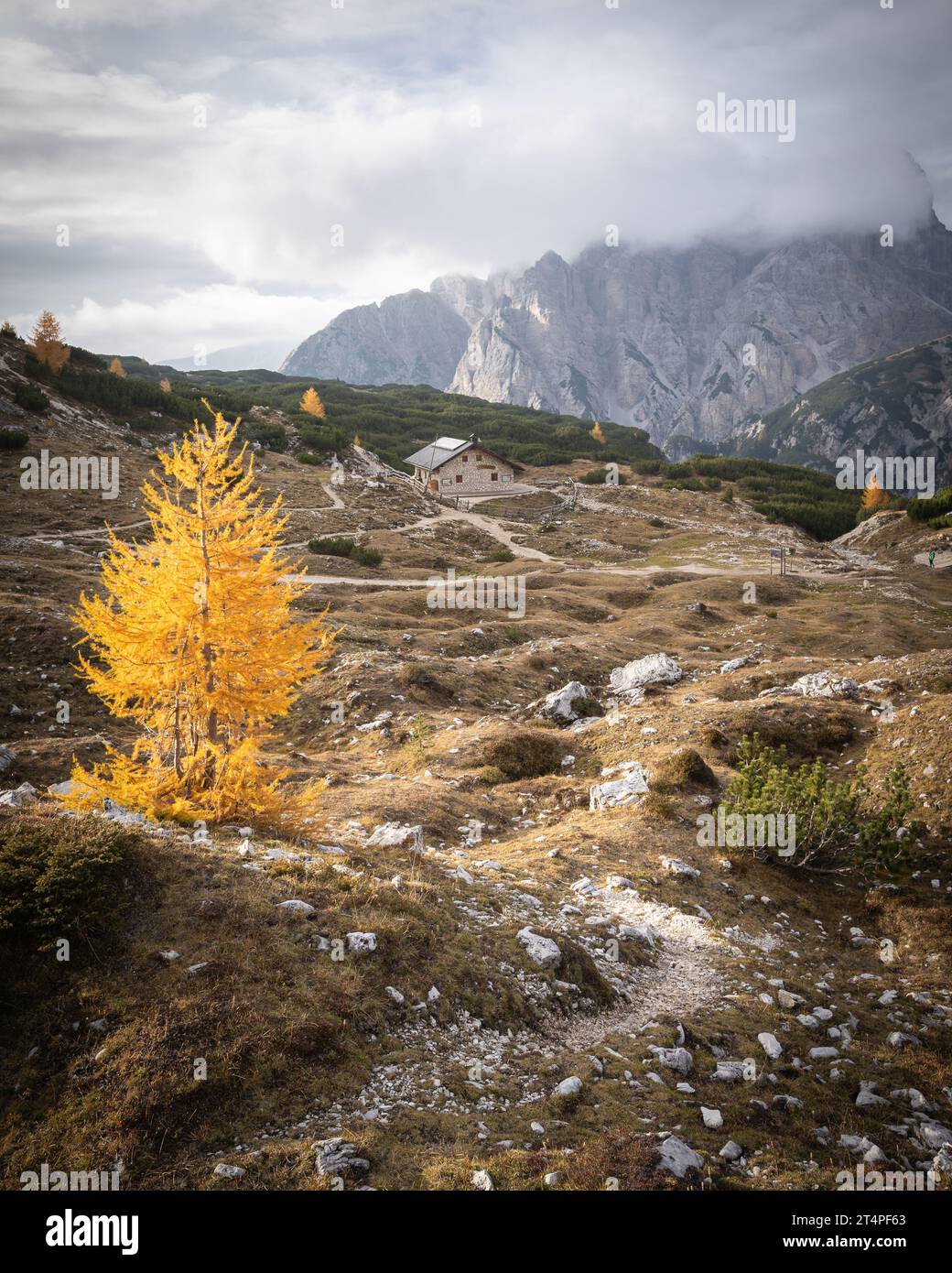 Rifugio in valle alpina circondato da larici dorati, Dolomiti, Italia, tiro verticale Foto Stock