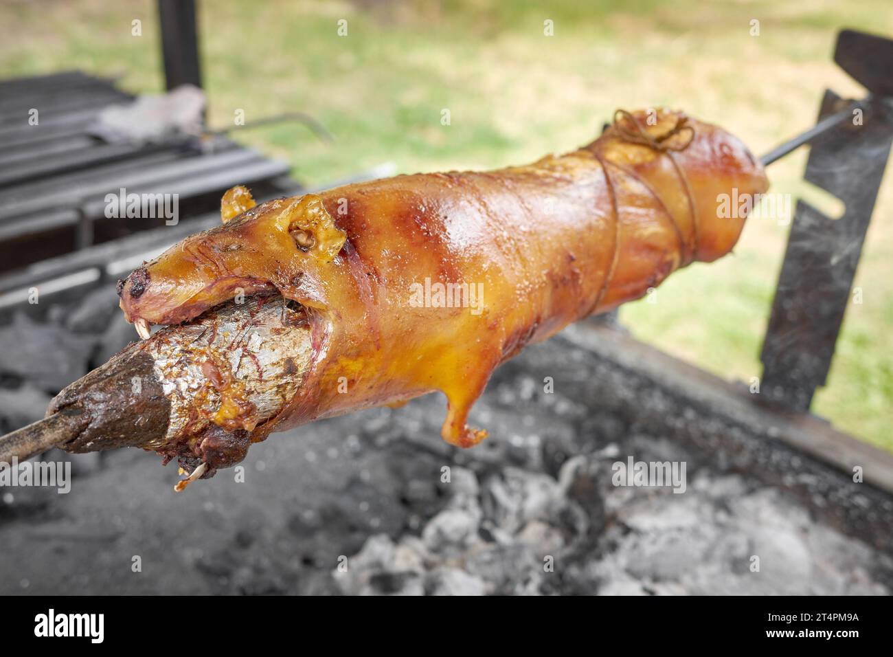 Foto ravvicinata di una cavia arrostita su una griglia, messa a fuoco selettiva, Ecuador. Foto Stock