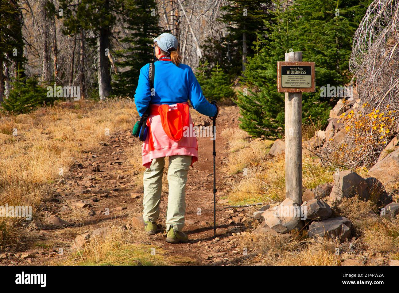 Indicazioni per la natura selvaggia lungo Roads End Trail, Strawberry Mountain Wilderness, Malheur National Forest, Oregon Foto Stock