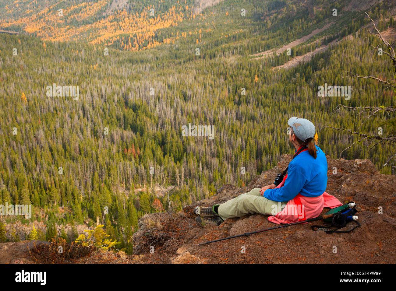 Vista sulla foresta di Strawberry Basin da Roads End Trail, Strawberry Mountain Wilderness, Malheur National Forest, Oregon Foto Stock