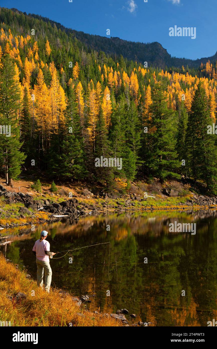 Pesca con la mosca sul lago Strawberry con larice occidentale (Larix occidentalis) in autunno, Strawberry Mountain Wilderness, Malheur National Forest, Oregon Foto Stock