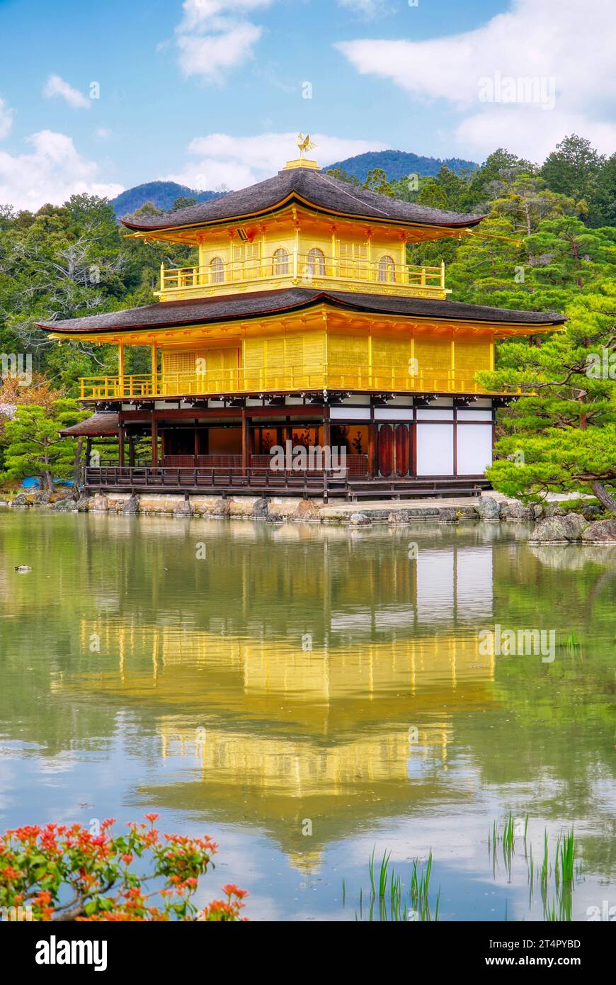 La splendida bellezza del Golden Pavilion Foto Stock