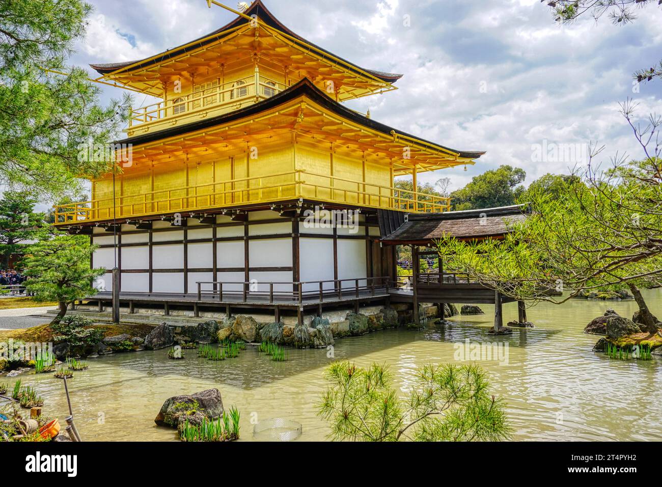 La splendida bellezza del Golden Pavilion Foto Stock