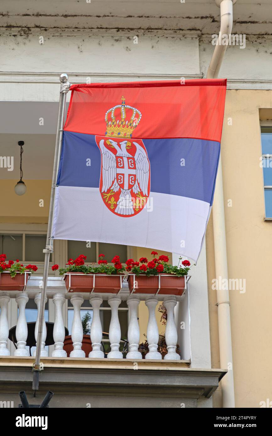 Bandiera ufficiale della Serbia nella Terrazza dell'edificio dell'istituzione con fiori Foto Stock