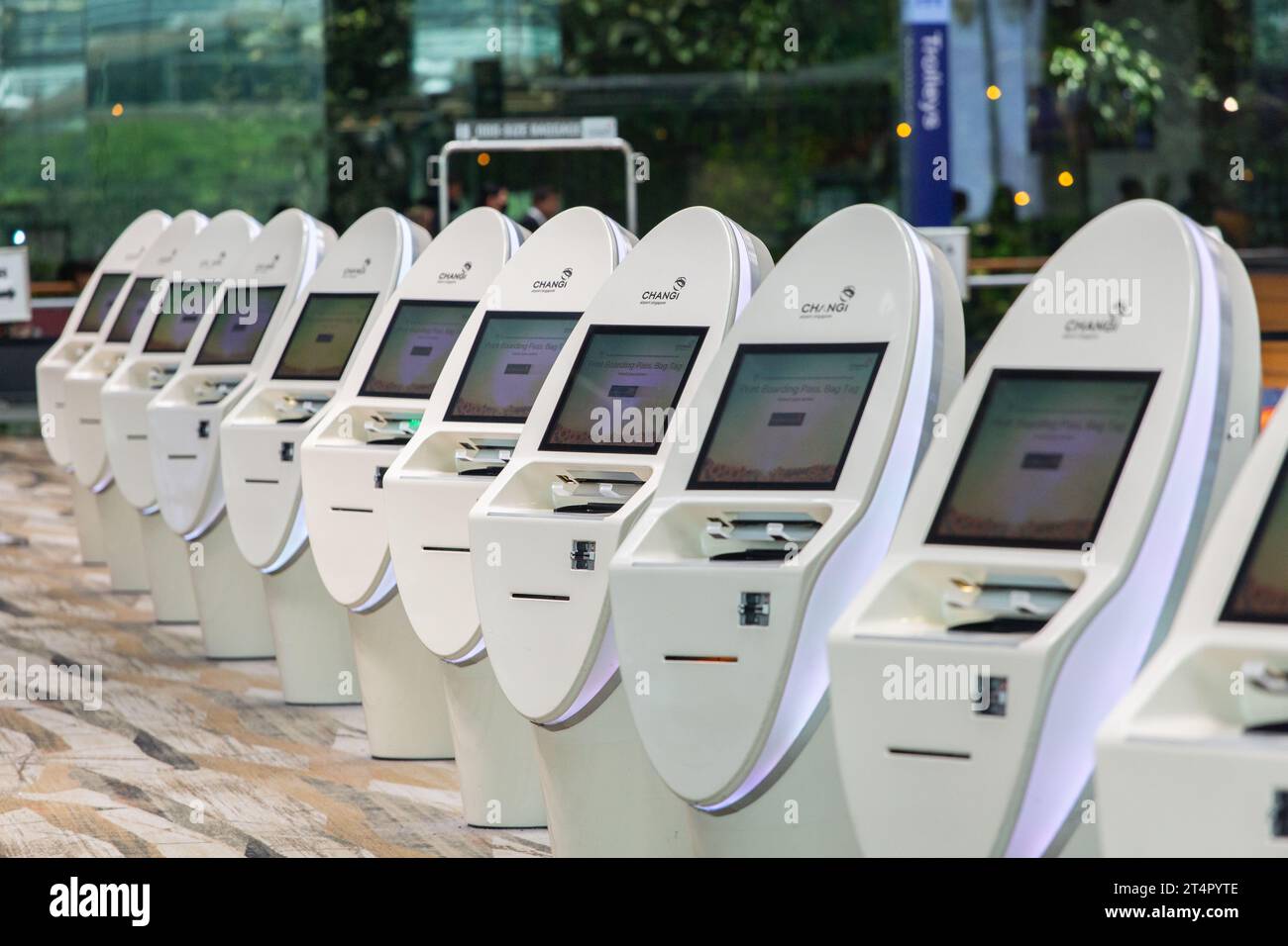 Una fila di chioschi automatizzati per il check-in veloce e senza interruzioni presso la sala delle partenze del terminal dell'aeroporto Changi. Singapore. Foto Stock