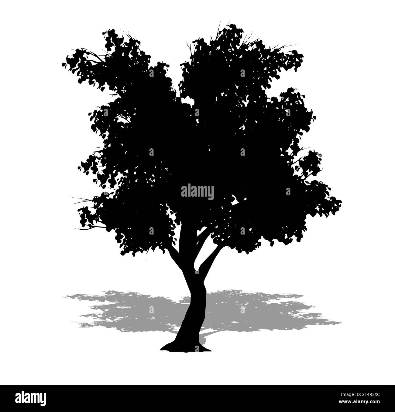 Un albero Katsura con silhouette nera su sfondo bianco. Illustrazione concettuale o concettuale 3D per natura, pianeta, ecologia e conservazione, forza Foto Stock