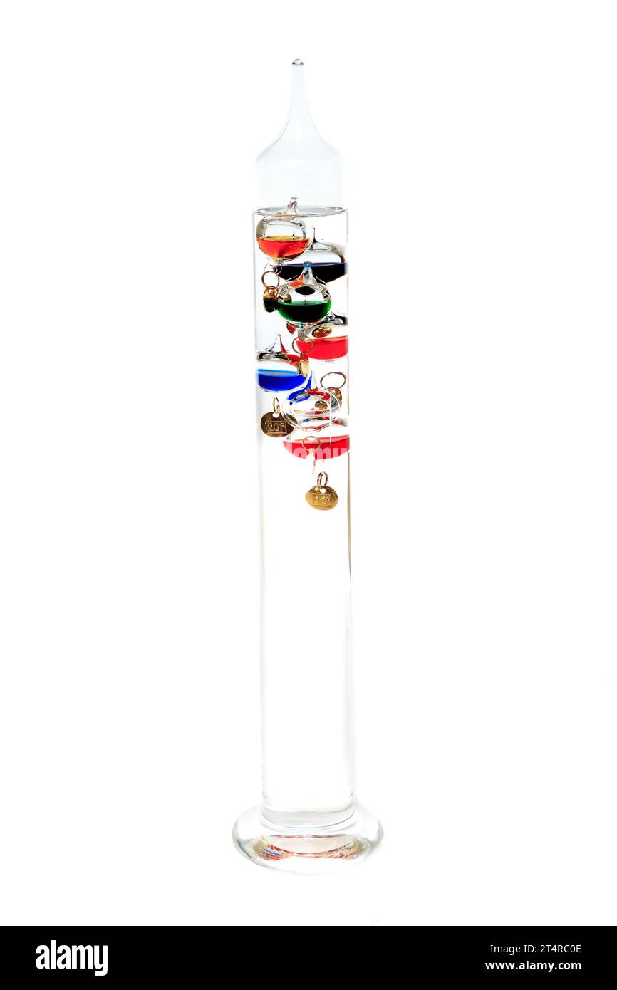Ziel Termometro Galileo 18 cm: Eleganza e Scienza per la Tua Casa - Gioielleria De Santis