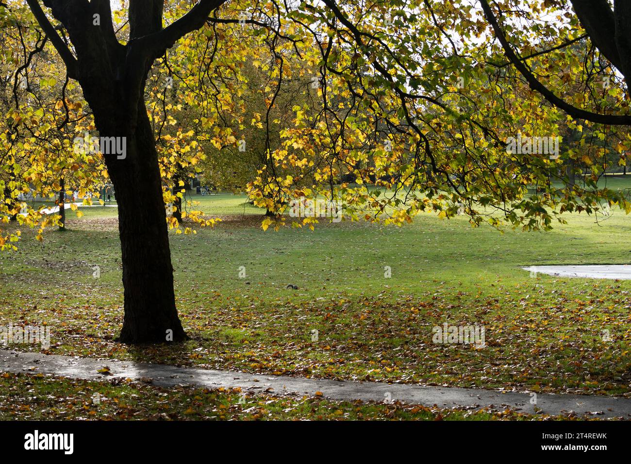 Lightwoods Park in autunno, Bearwood, Birmingham, West Midlands, Inghilterra, REGNO UNITO Foto Stock