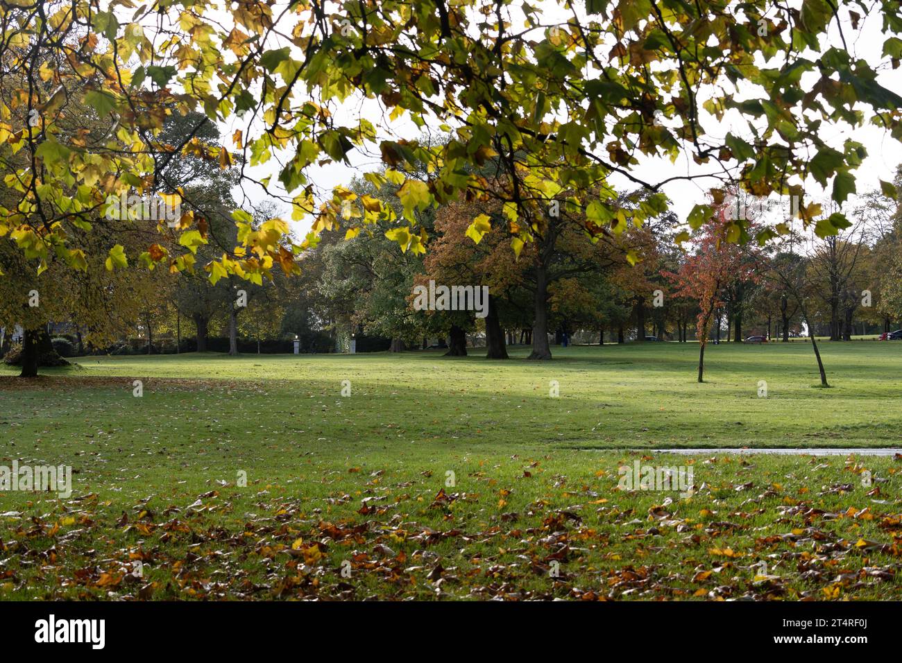 Lightwoods Park in autunno, Bearwood, Birmingham, West Midlands, Inghilterra, REGNO UNITO Foto Stock
