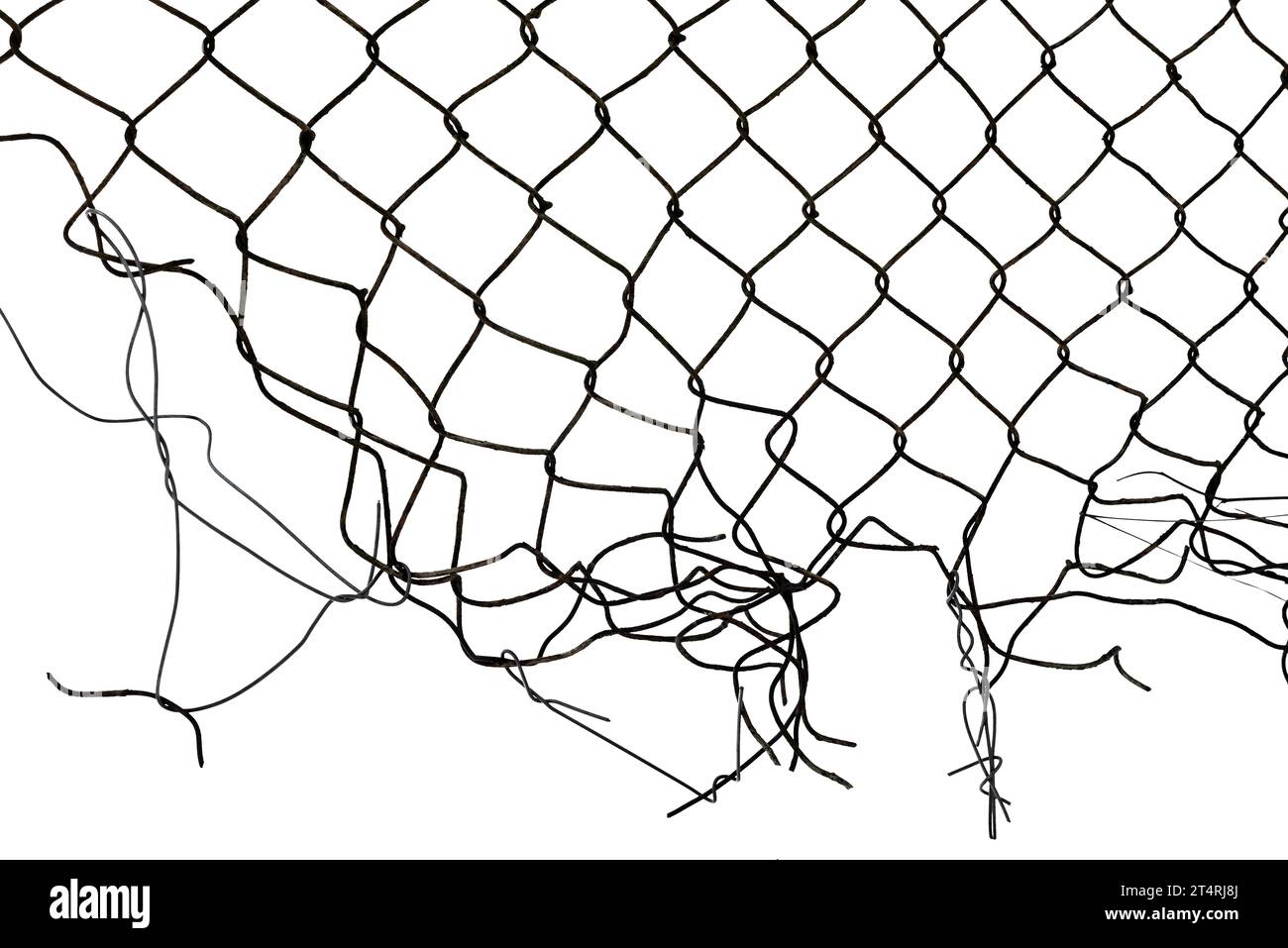 La trama della rete metallica. Rete metallica lacerata, distrutta, rotta su sfondo bianco Foto Stock