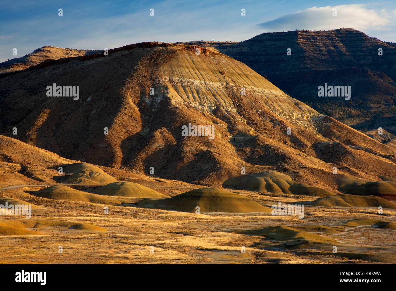 Carroll Rim from Painted Hills Overlook Trail, John Day Fossil Beds National Monument-Painted Hills Unit, Oregon Foto Stock