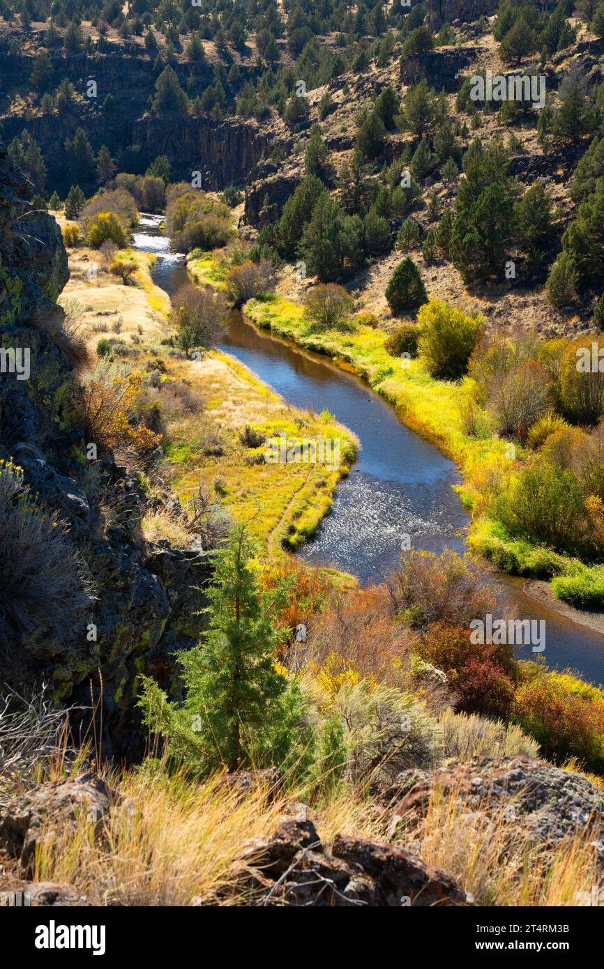 Donner und Blitzen Wild and Scenic River dal Blitzen River Trail, Steens Mountain Cooperative Management and Protection area, Oregon Foto Stock