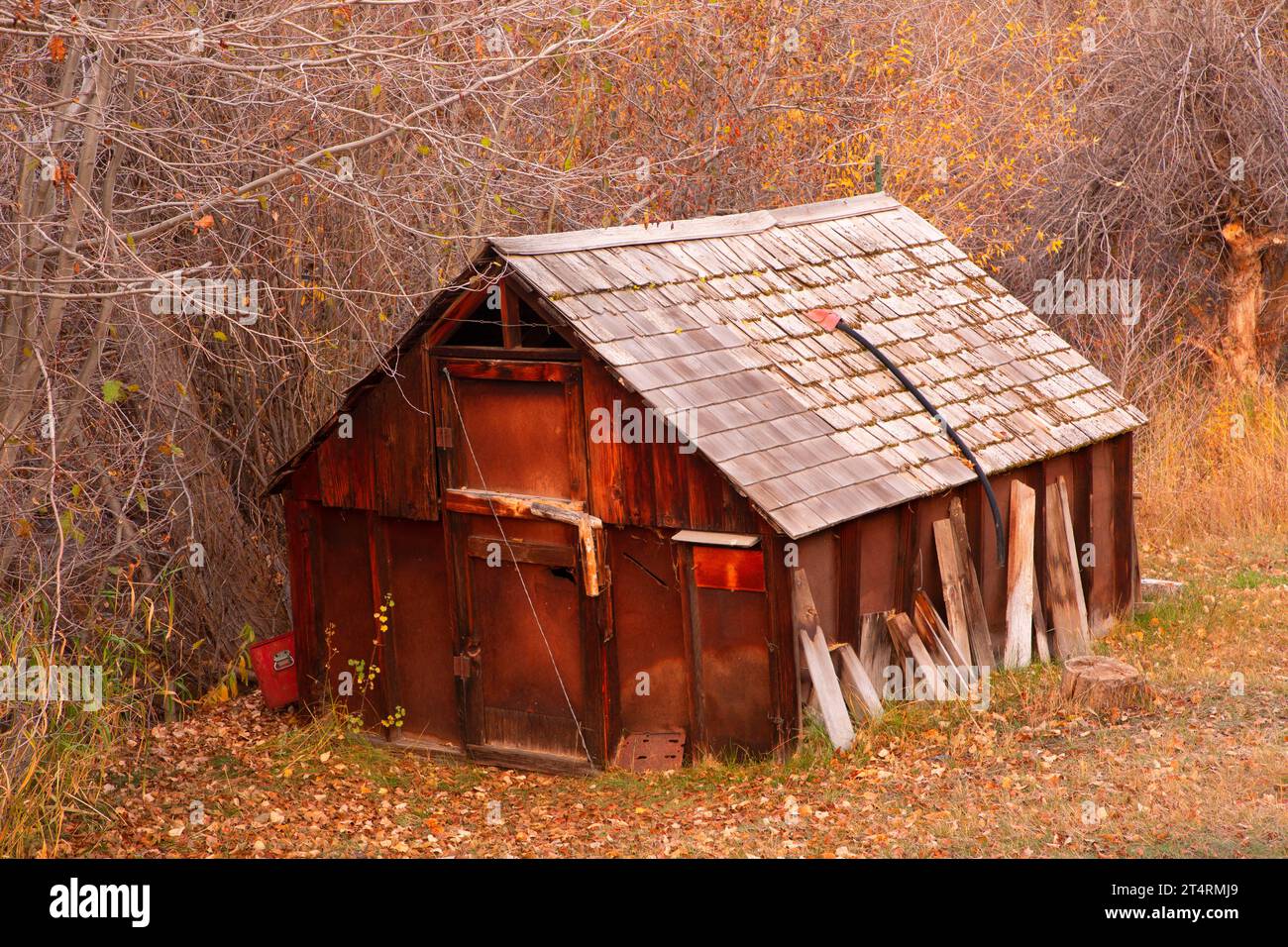 Bath house, Donner und Blitzen Wild and Scenic River, Steens Mountain Cooperative Management and Protection area, Oregon Foto Stock