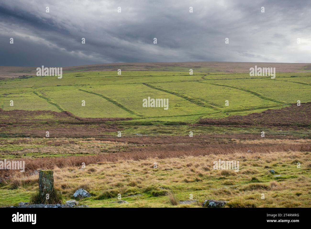 Sistema di campi medievali su Dartmoor Foto Stock