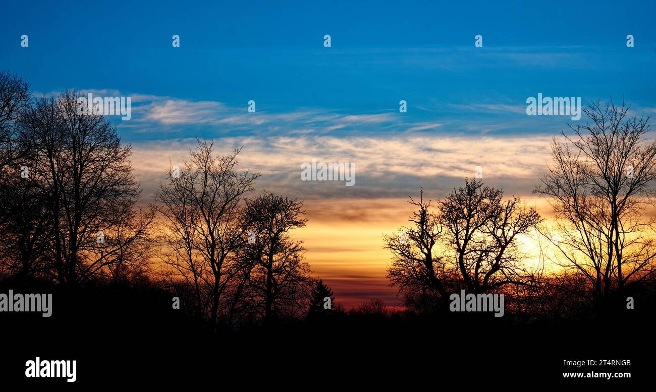 Un sereno sorgere del sole su un campo, con alberi sagomati in primo piano e un cielo dipinto con sfumature di arancione e blu. Silhouette di alberi contro t Foto Stock