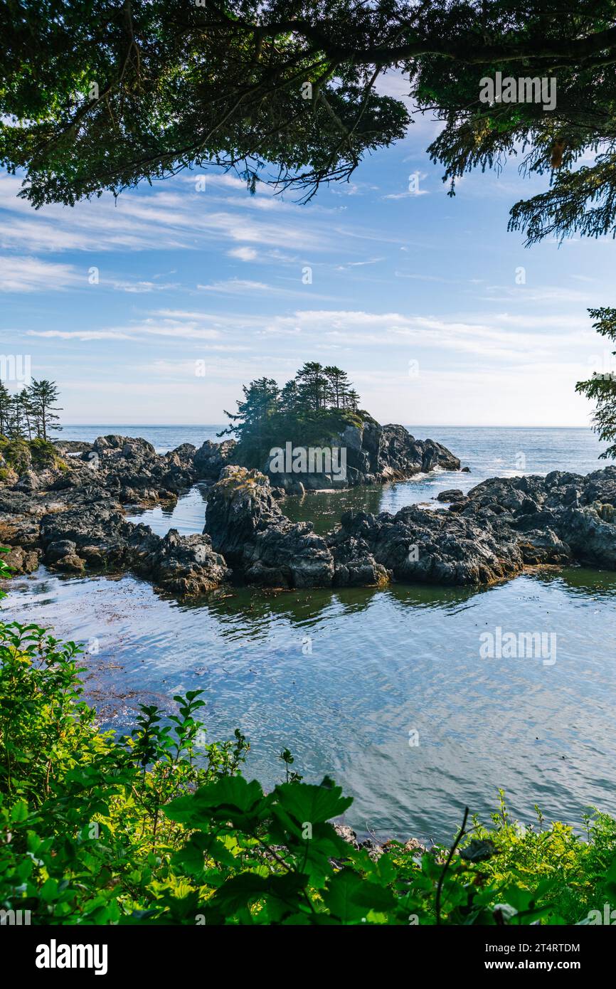 Aspra costa ricoperta di rocce e alberi a Ucluelet, sulla costa occidentale dell'Isola di Vancouver, British Columbia, Canada. Foto Stock