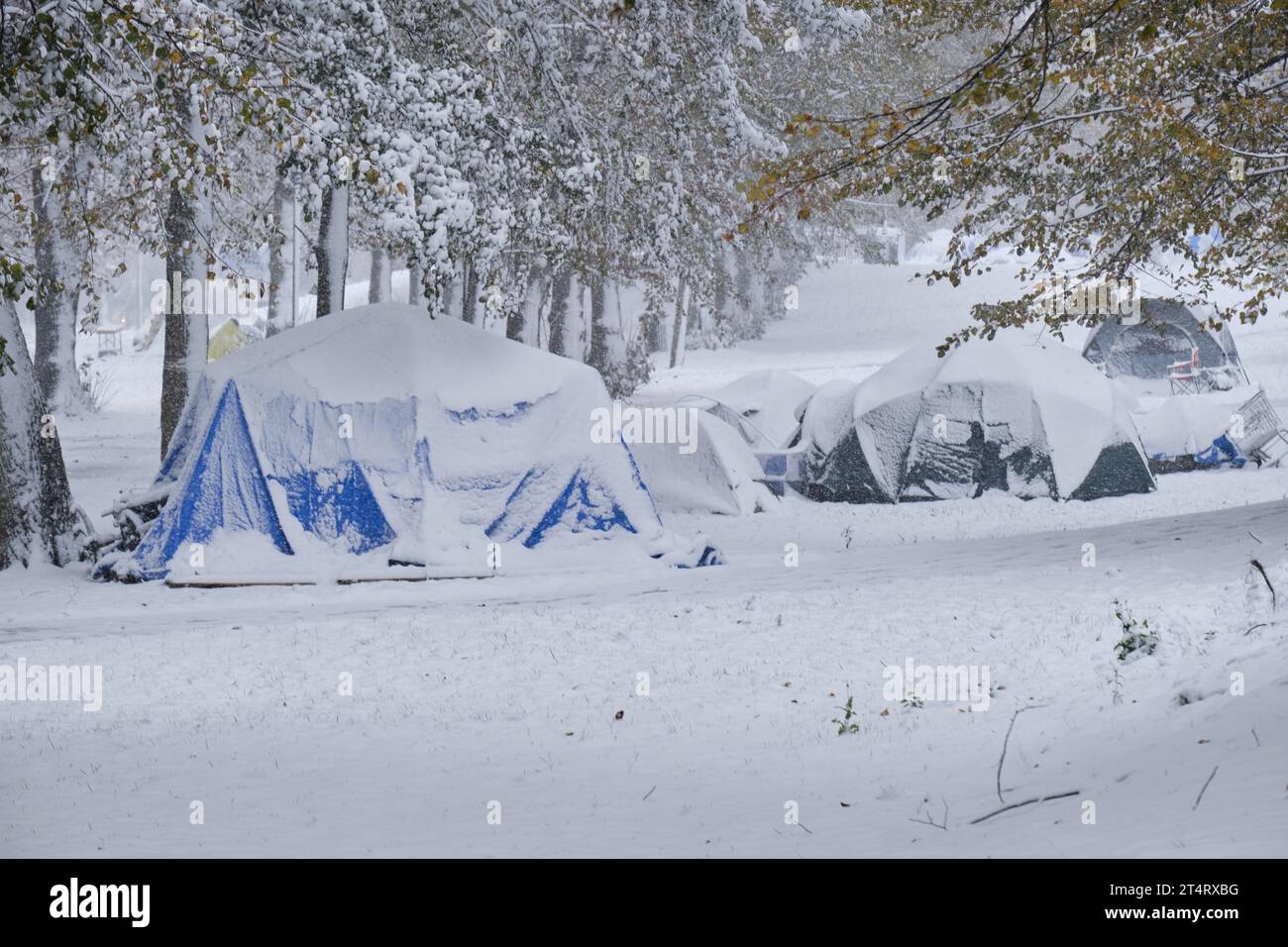 Halifax, nuova Scozia, Canada. 1 novembre 2023. L'attuale accampamento di tende senza tetto a Victoria Park ottiene la sua prima dose di inverno della stagione, poiché 5-10 cm di neve cadono sulla città e si prevede che le temperature scenderanno sotto il congelamento durante la notte. Poiché il numero ufficiale di senzatetto in città si avvicina a un migliaio, il 50% in più rispetto allo scorso anno, l'arrivo dell'inverno è una preoccupazione importante per gli organismi di sostegno, senza ancora piani definiti da parte dei governi sufficienti ad affrontare la questione. Crediti: Meanderingemu/Alamy Live News Foto Stock