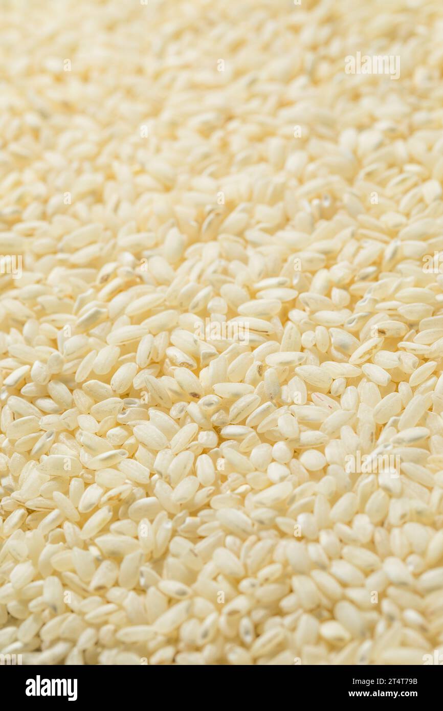 Riso Arborio bianco secco crudo in una ciotola Foto Stock