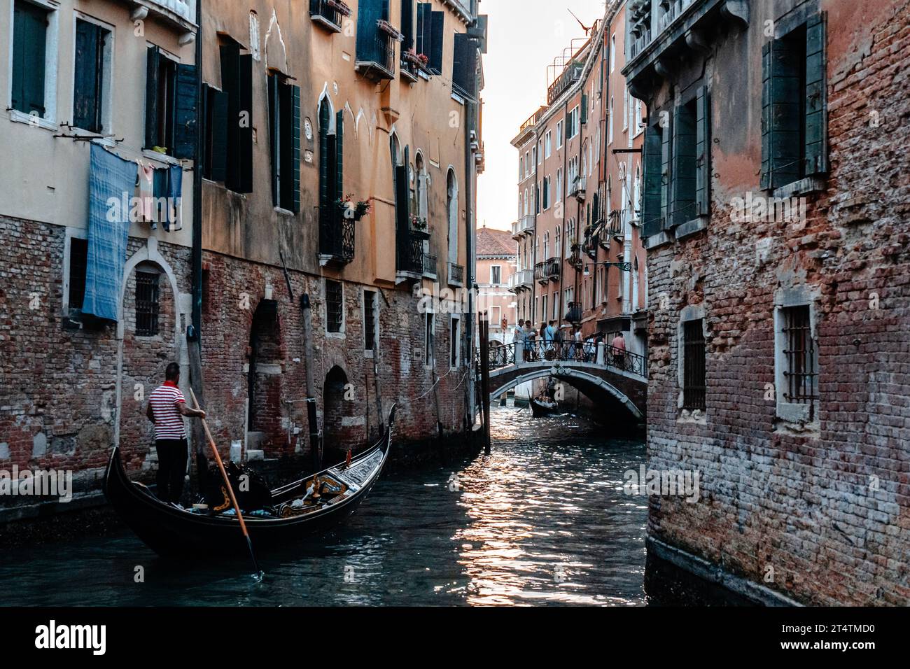 Canale panoramico con ponte e vecchi edifici con piante in vaso a Venezia, Italia Foto Stock