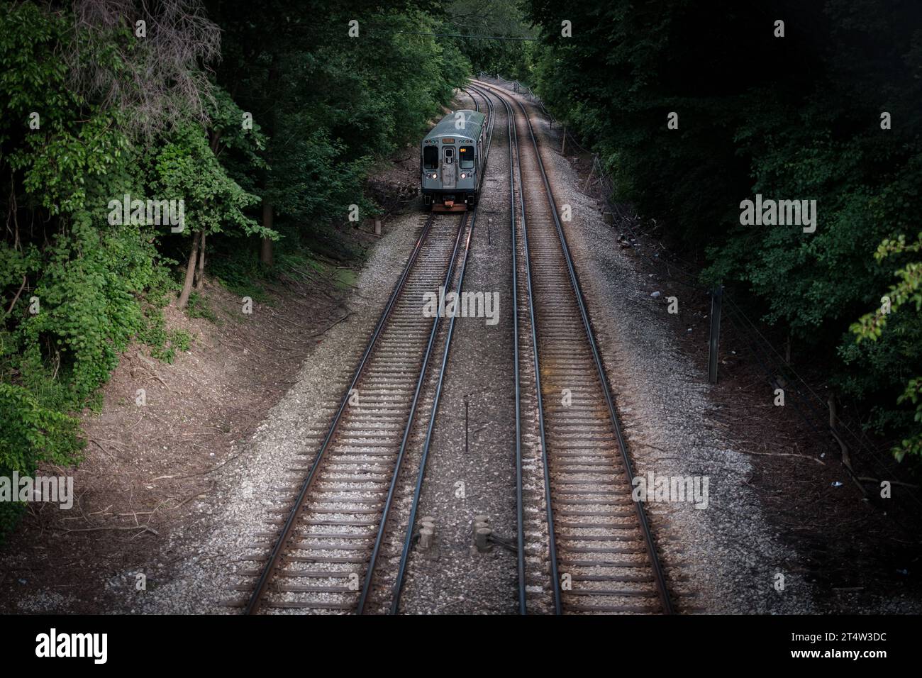 Treno Skokie Swift sui binari tra gli alberi Foto Stock