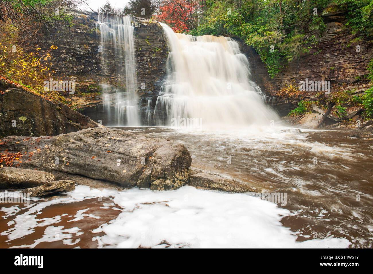 Cascate di Muddy Creek in autunno. Swallow Falls State Park. Oakland. Maryland Foto Stock