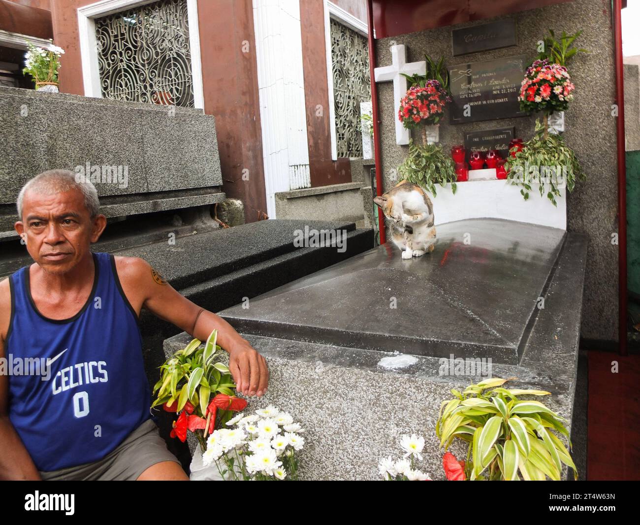 Caloocan, Filippine. 1 novembre 2023. Un gatto randagio visto in cima a una tomba mentre gli leccava la zampa. Le persone si riversano nel cimitero di Sangandaan per osservare l'UNDAS o il giorno di tutti i Santi a Caloocan, nonostante le pesanti perdite per visitare i loro cari defunti. La polizia nazionale filippina (PNP) Caloocan fu schierata fuori dal cimitero, garantendo l'ordine e la sicurezza del pubblico. Credito: SOPA Images Limited/Alamy Live News Foto Stock