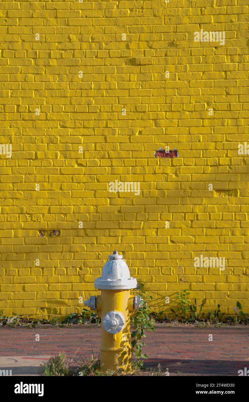 Idrante giallo davanti alla parete gialla Foto Stock