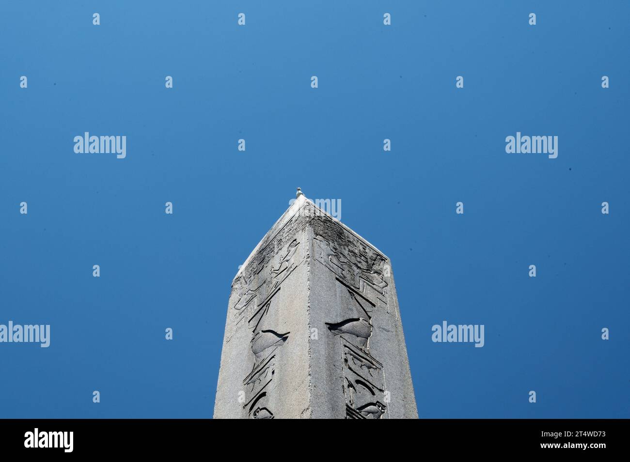 Un uccello solitario si staglia in cima all'antico obelisco di Teodosio contro il cielo blu di Istanbul. Foto Stock