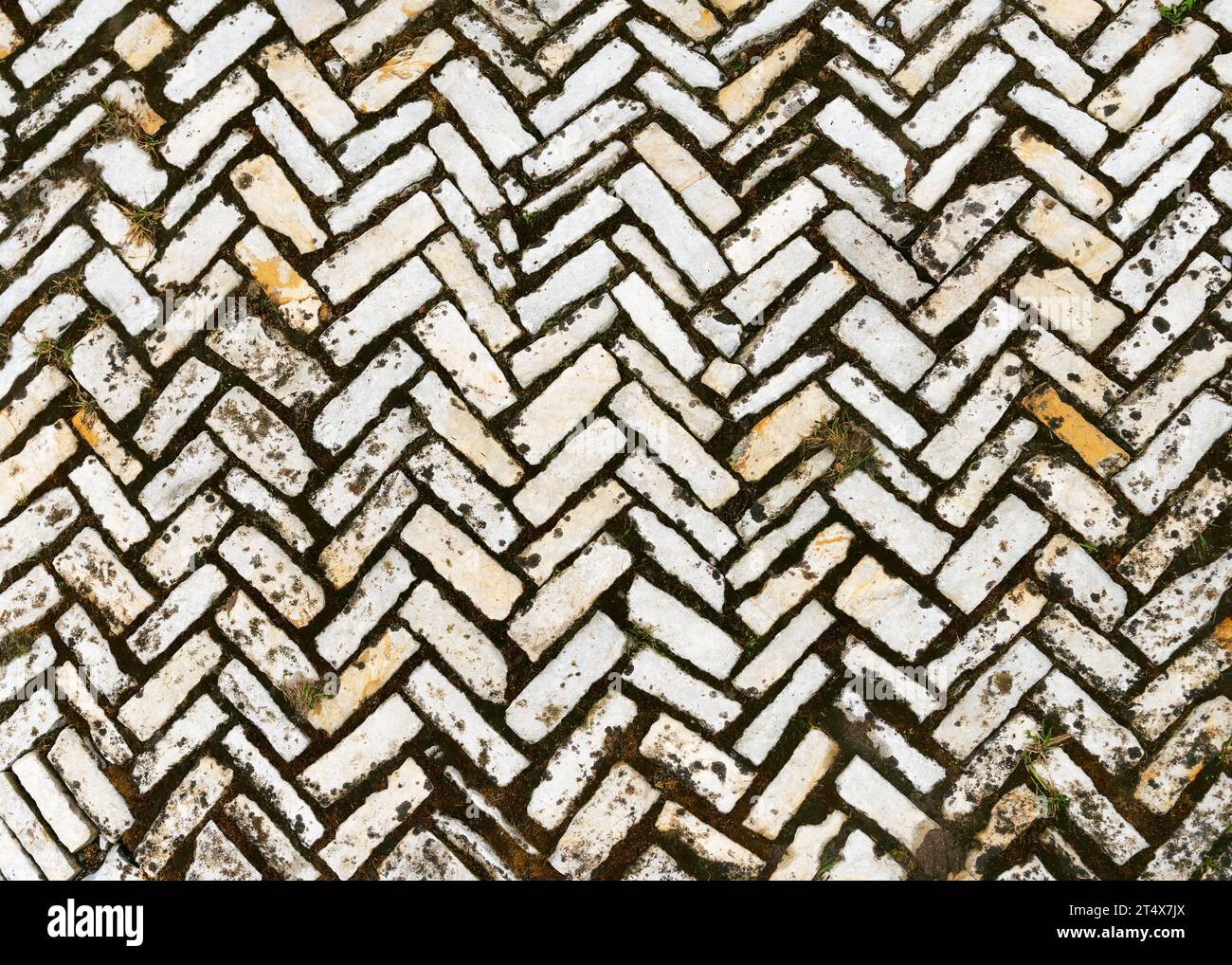 Vista dall'alto della pavimentazione rustica in pietra naturale con erba nel giardino delle erbe. Sfondo astratto di vecchi mattoni disposti in una spina di pesce o di grano. Foto Stock