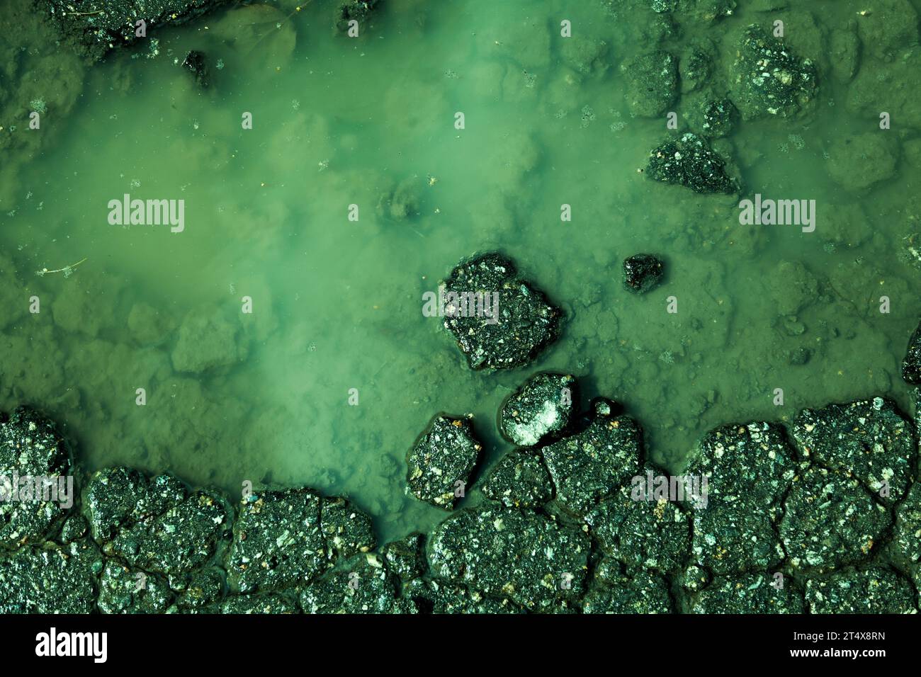 l'acqua delle alghe penetra attraverso il fondo stradale Foto Stock